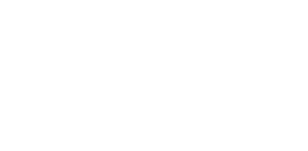 b&slogistics logow