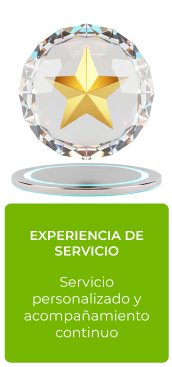 experiencia experiencia